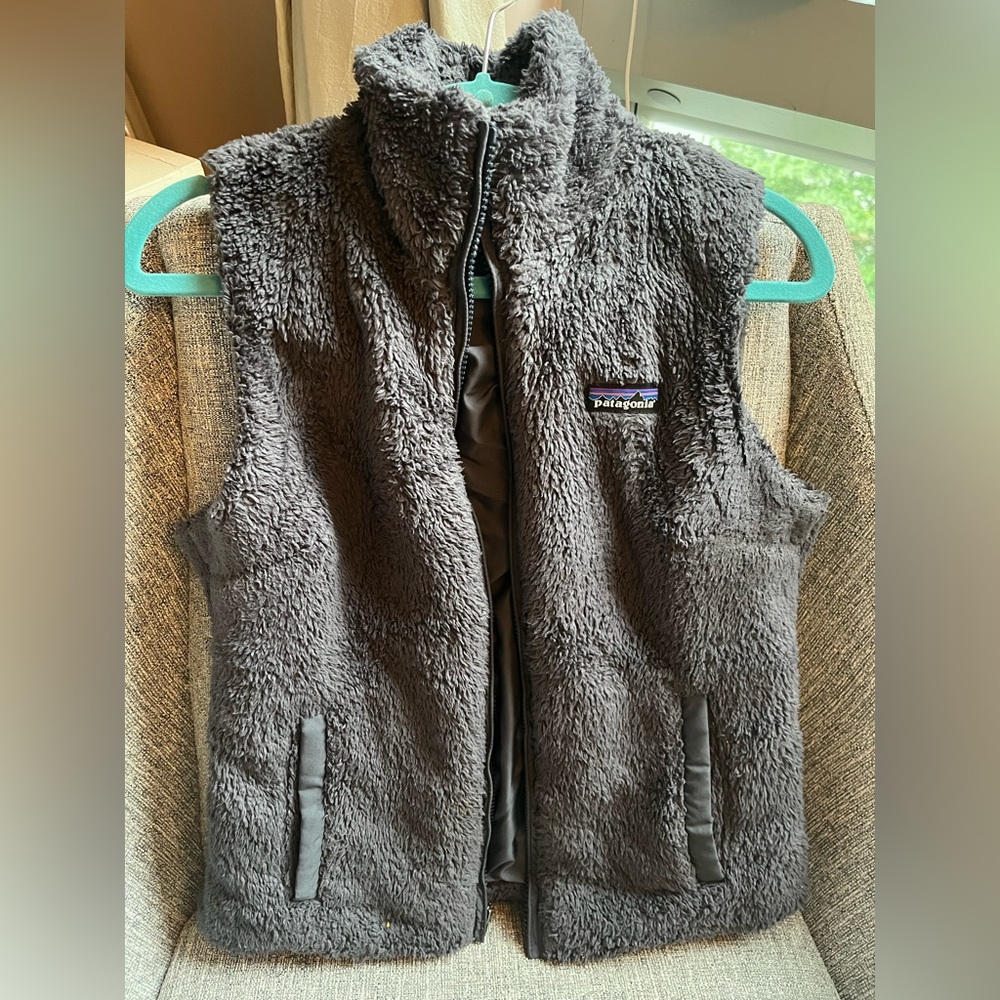 Patagonia Los Gatos Fleece Vest